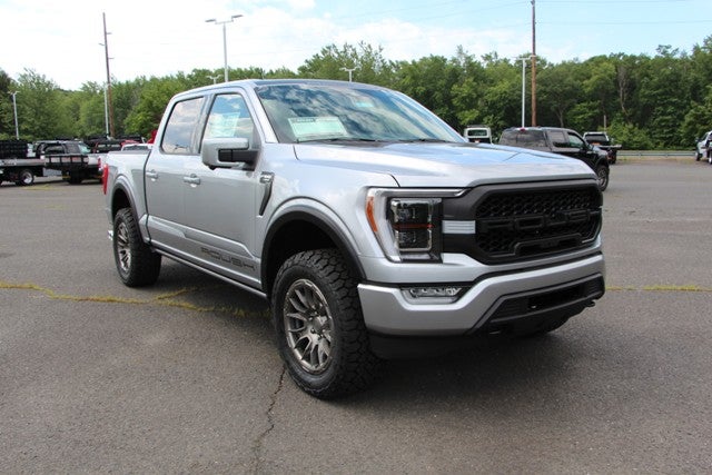 ROUSH Silver F-150 at All American Ford of Paramus in Paramus NJ