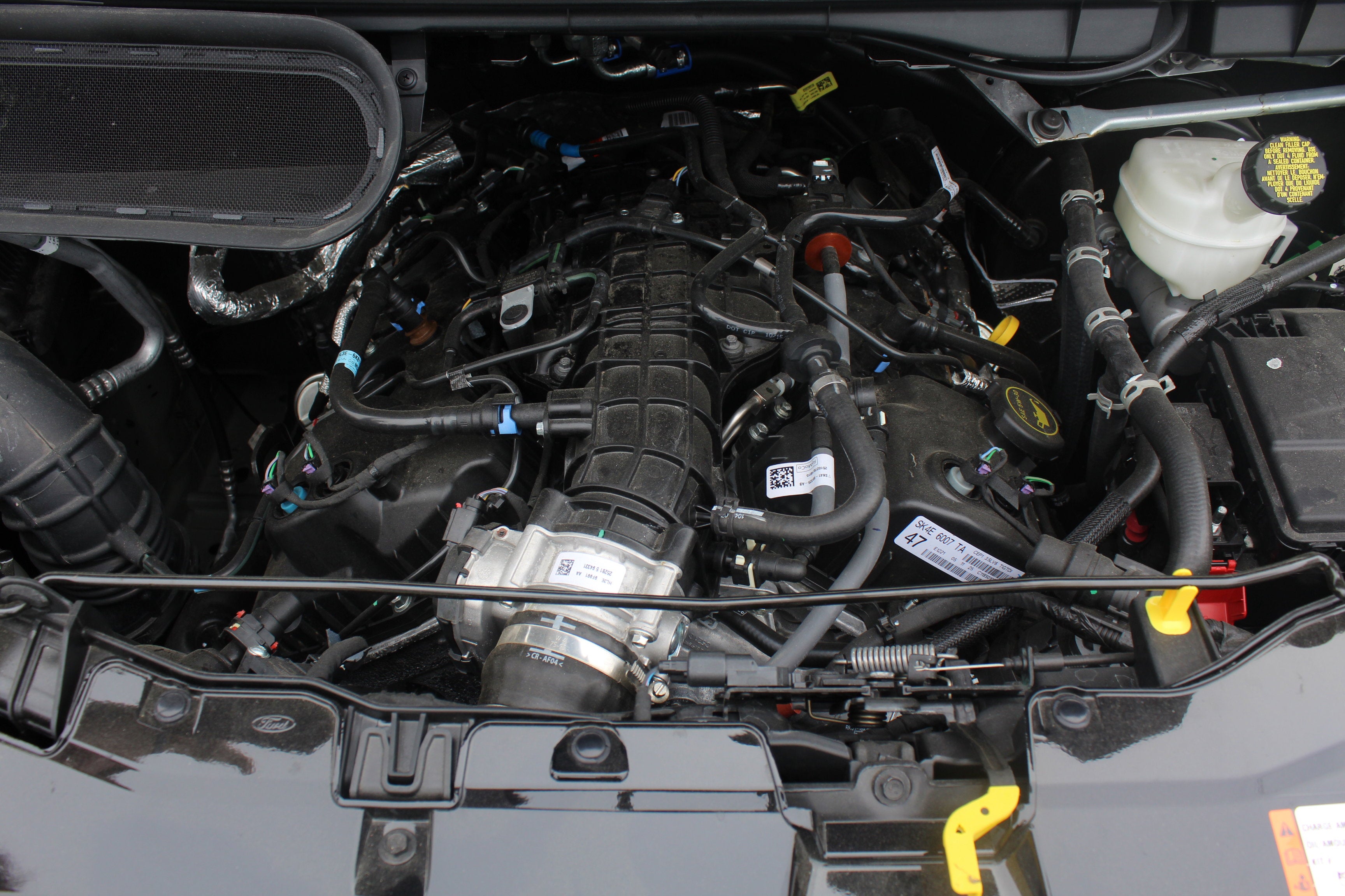 2026 Ford Transit Cargo Van Waldoch Galaxy Edition
