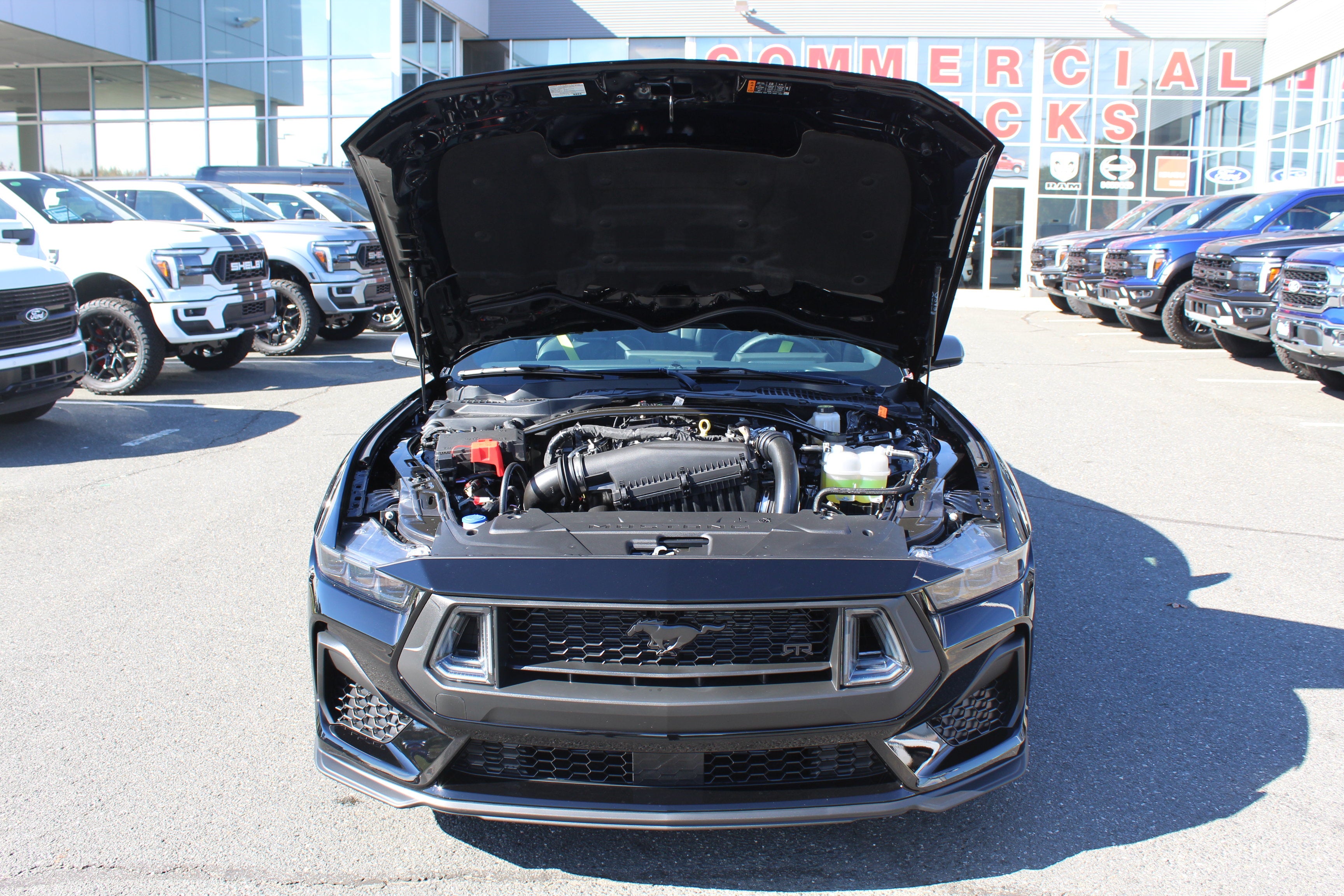 2026 Ford Mustang RTR Edition
