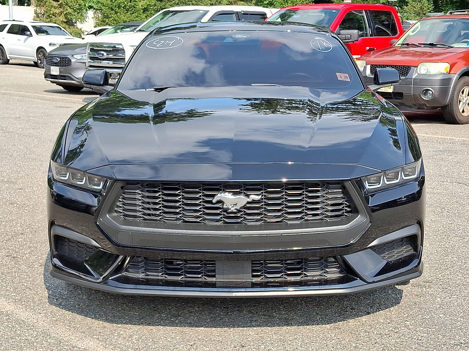 2024 Ford Mustang I4CP