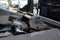2026 RAM 4500 Jerr-Dan MPL-NG Wrecker