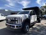 2025 Ford Chassis Cab F-550® XL